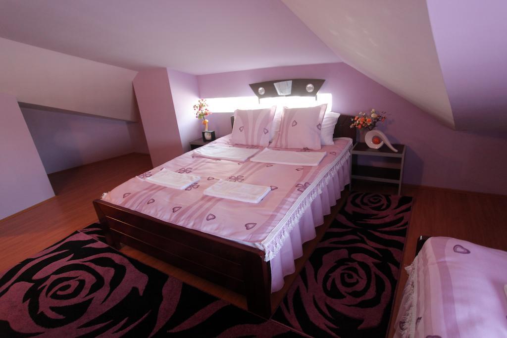 Villa Atina Stara Pazova Habitación foto